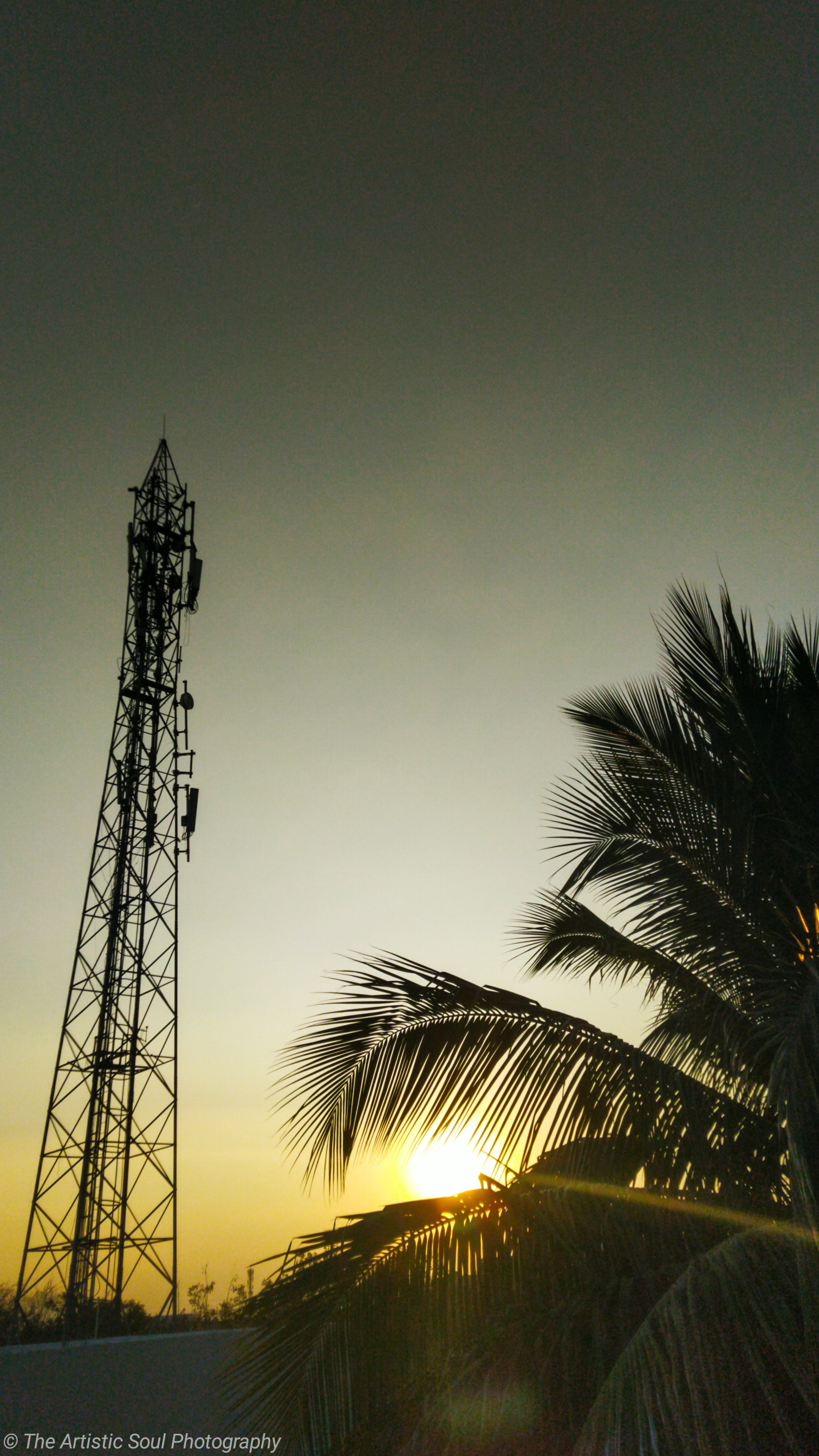 Sunset sandwiched between a mobile tower and tree