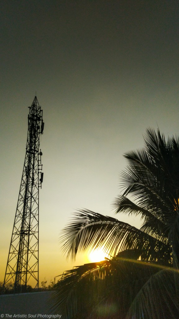 Sunset sandwiched between a mobile tower and tree