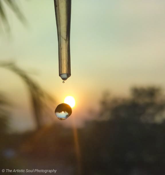 Water droplet amidst perfect sunset