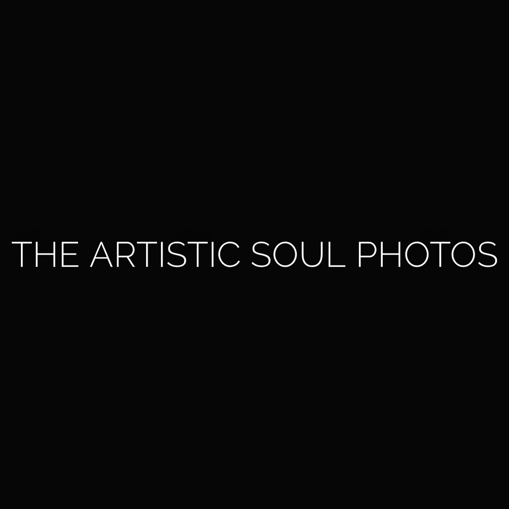 The Artistic Soul Photos - Banner Image and the exact meaning  and definition of Artistic Soul.