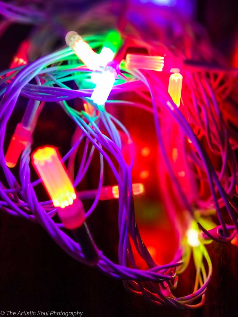 Tangled Rice LED lights