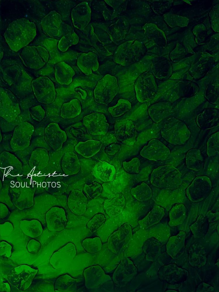 Green and Radium dots HD wallpaper