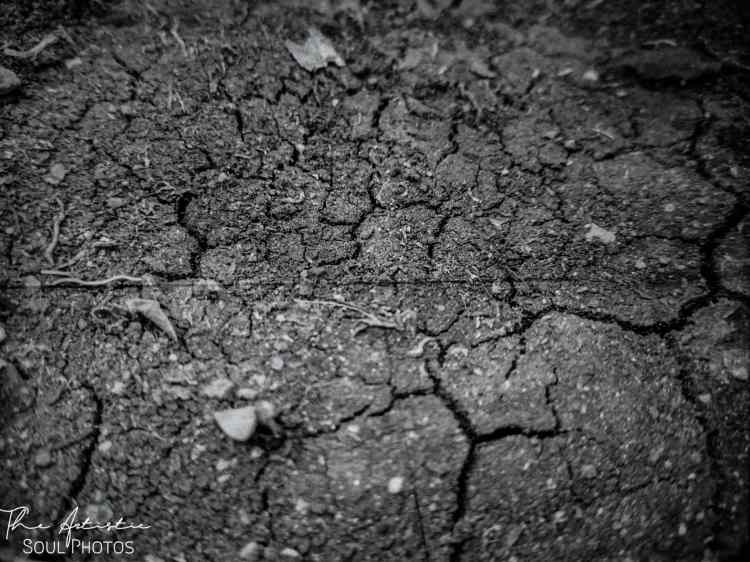 Dried up land in the summer season