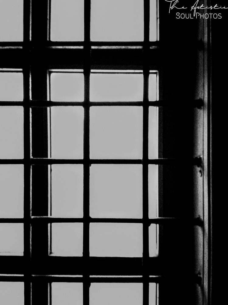A Black and White Photo of Window Railings